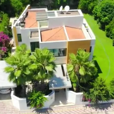 Diva * 凯梅尔
