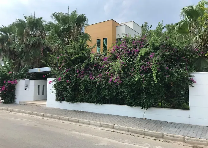 Diva Vila