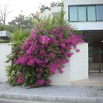 Diva Villa *